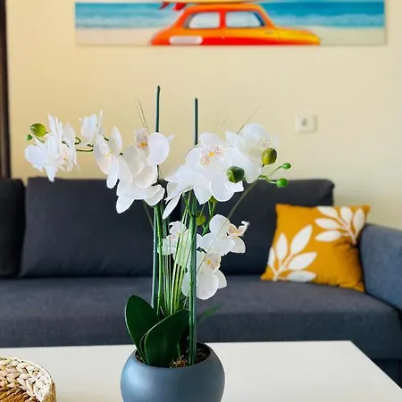 Apartment Golf Christina Albatros - Heated Pool San Miguel de Abona