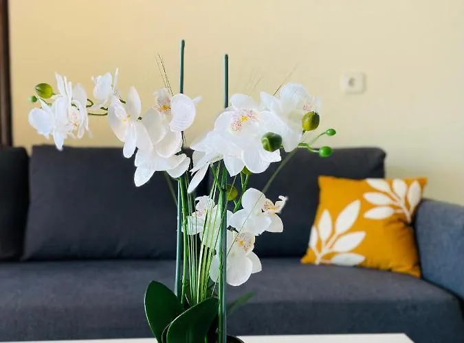 Apartman Golf Christina Albatros - Heated Pool San Miguel de Abona